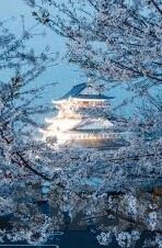 2012中文字幕电影中文字幕-2012，中文字幕下的电影之旅