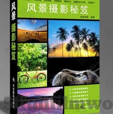 看黄台的app大象传媒-探索网络内容与个人选择的边界，理性审视看黄台的APP——大象传媒