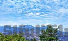 麻豆射精视频-深入探讨色情内容对社会的负面影响——麻豆射精视频的警示