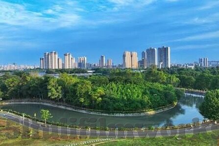 四虎麻豆av-四虎麻豆av——解构现代娱乐与文化消费的新视角