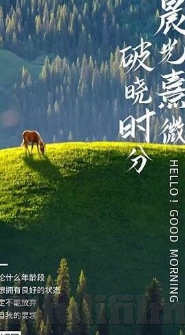 糖心vlog免费入口进入-解锁生活小确幸，免费浏览糖心Vlog观影体验